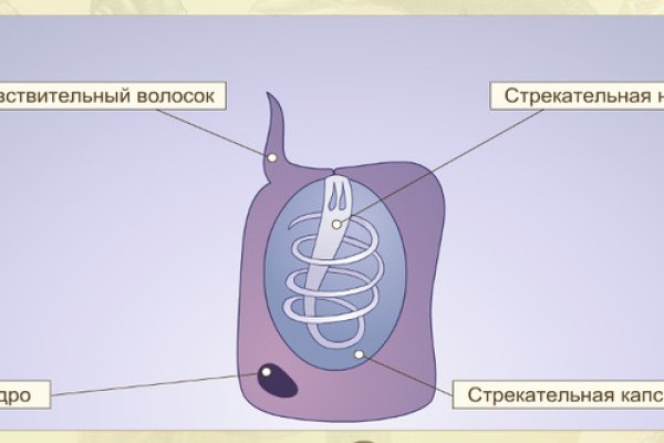 Кракен даркнет плейс